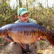 Carp caught at one of South West Lakes Trust Fisheries